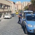 polfer