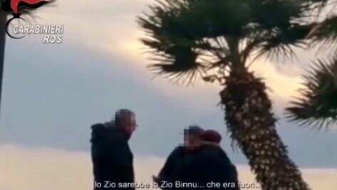 assedio e halycon