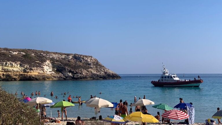 mare