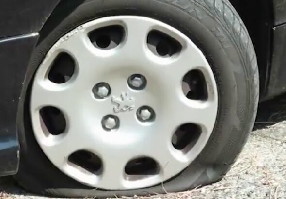gomme1