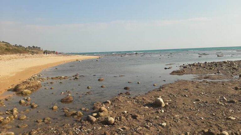 eraclea