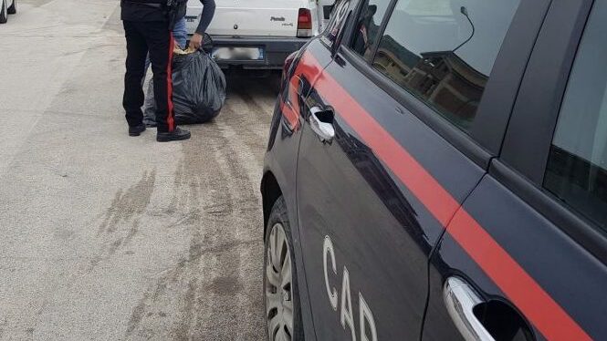 cc rifiuti