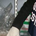 sequestro pesce