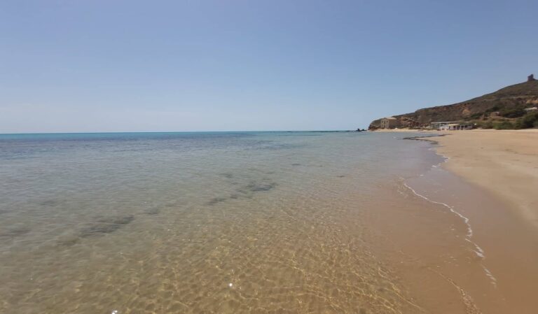 mare