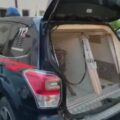 arresti favara