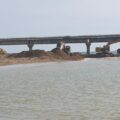 Salso-foto 2
