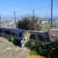 il mazzo di 17 rose bianche
