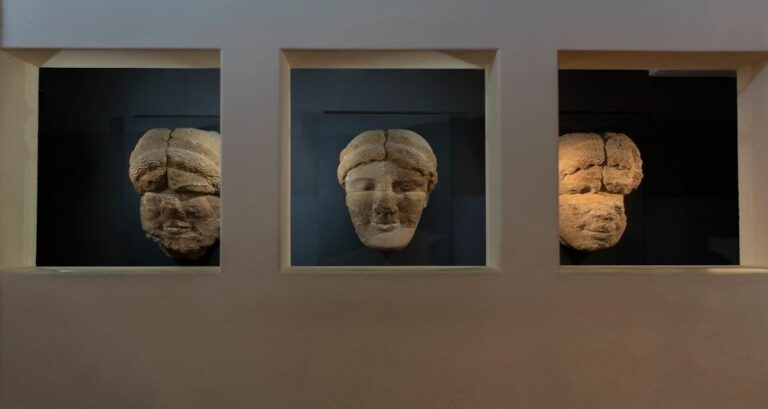 Museo Griffo 2