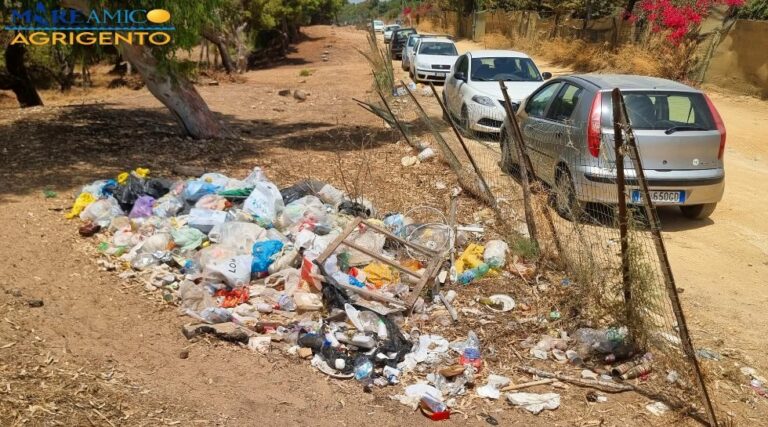 rifiuti nel boschetto