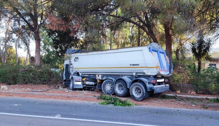 camion1