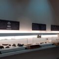 antiquarium Vito Soldano 2