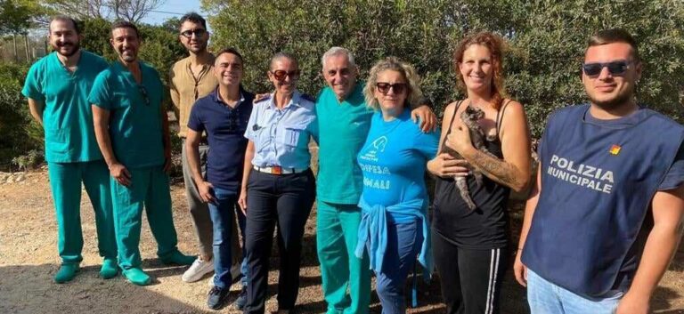 cani e gatti