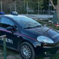 caltabellotta2