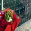 fiori