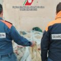 guardia costuera2
