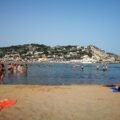 mollarella