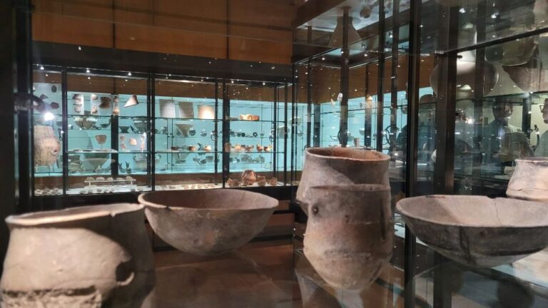 museo 4