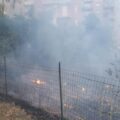 ince6