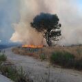 incendio