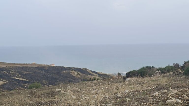 punta bianca