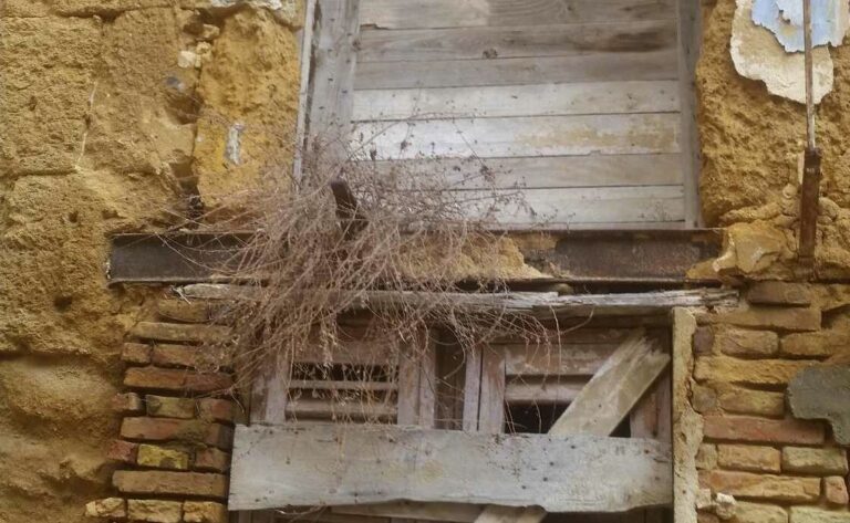 centro storico 11