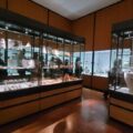 AG Museo Griffo