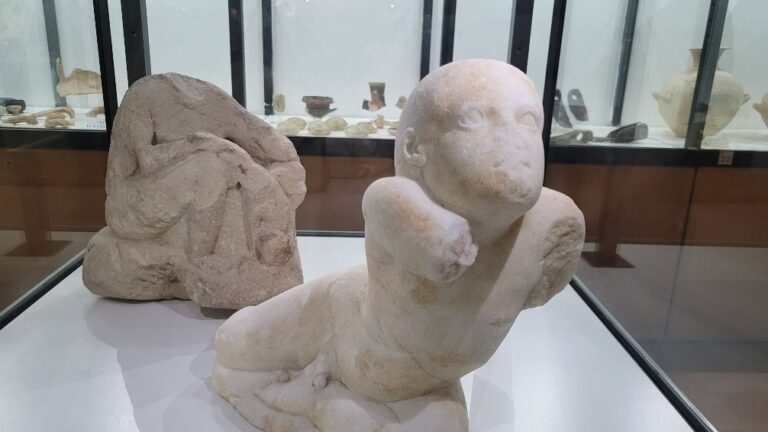 AG Museo Griffo 45