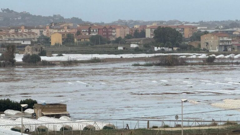 licata