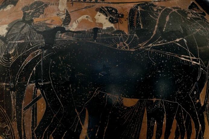 Museo Griffo