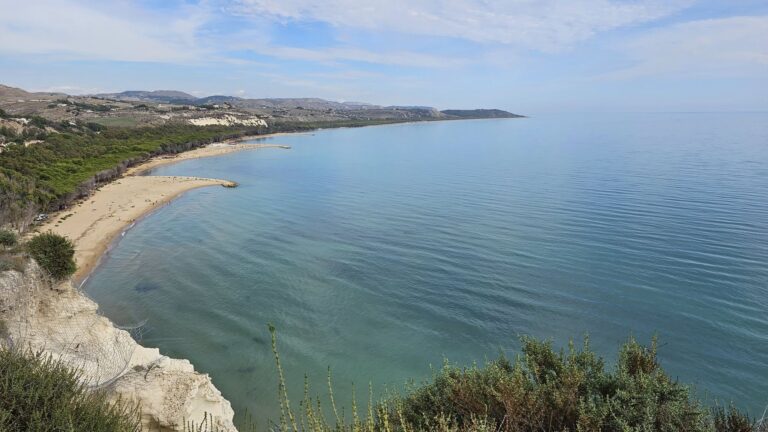 mare