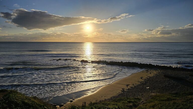 mare