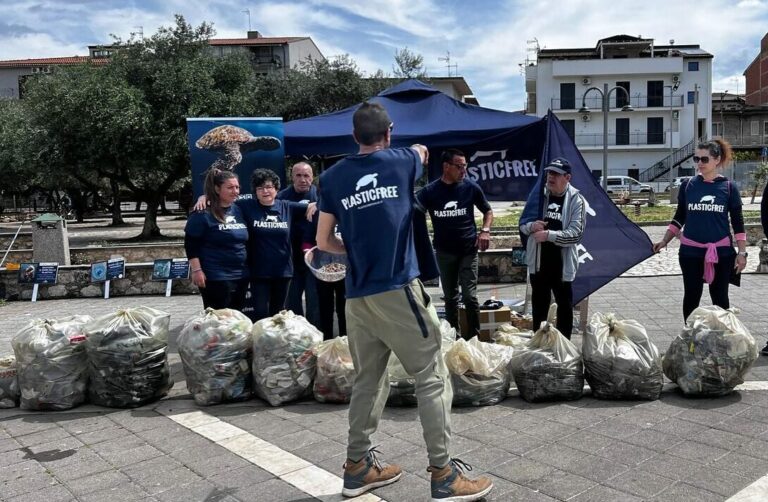 plastic free