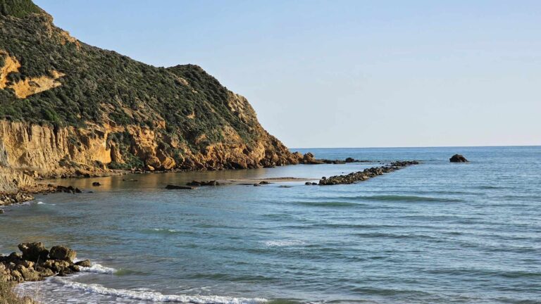 mare