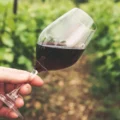 vino rosso siciliano