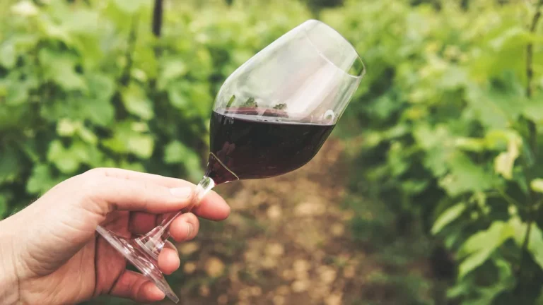 vino rosso siciliano
