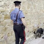 carabinieri 3