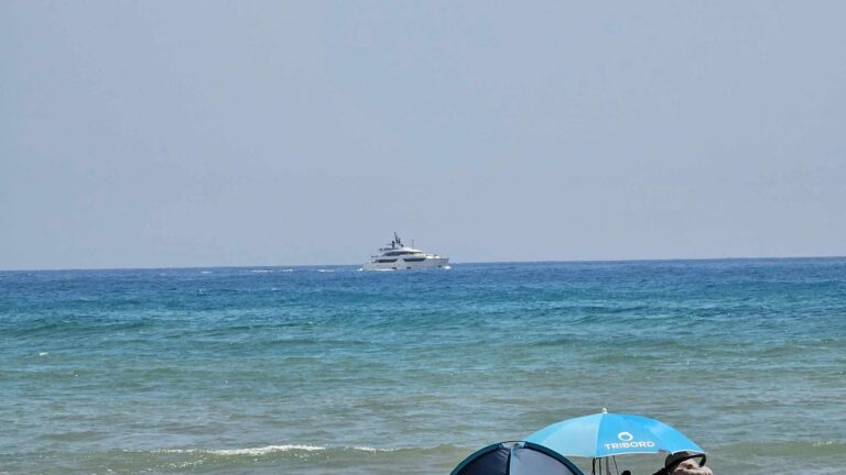 mare
