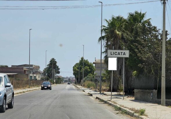licata2