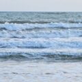 mare