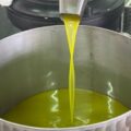 olio