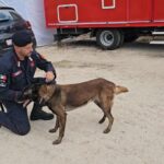 ricerche Marianna Bello cane molecolare