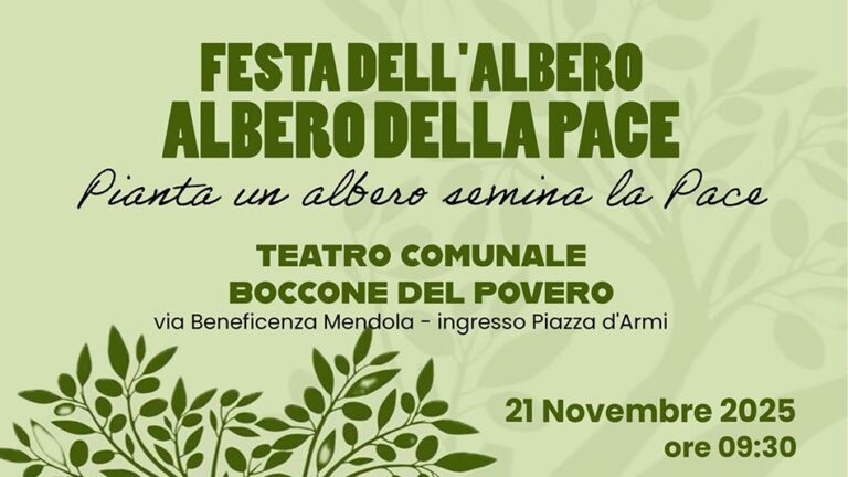 festa dall'albero brancati favara 21 novembre 2025