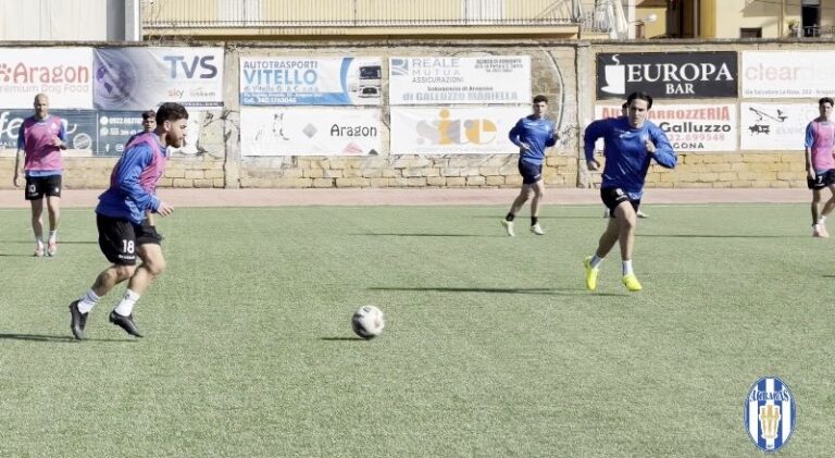 ALLENAMENTO - NATALE GATTO IN AZIONE