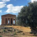 AGRIGENTO valle dei Templi 2