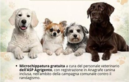 Microchippatura gratuita (2)