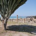 REALMONTE_Villa Durrueli 15