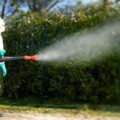 Disinfestazione zanzare larvicida