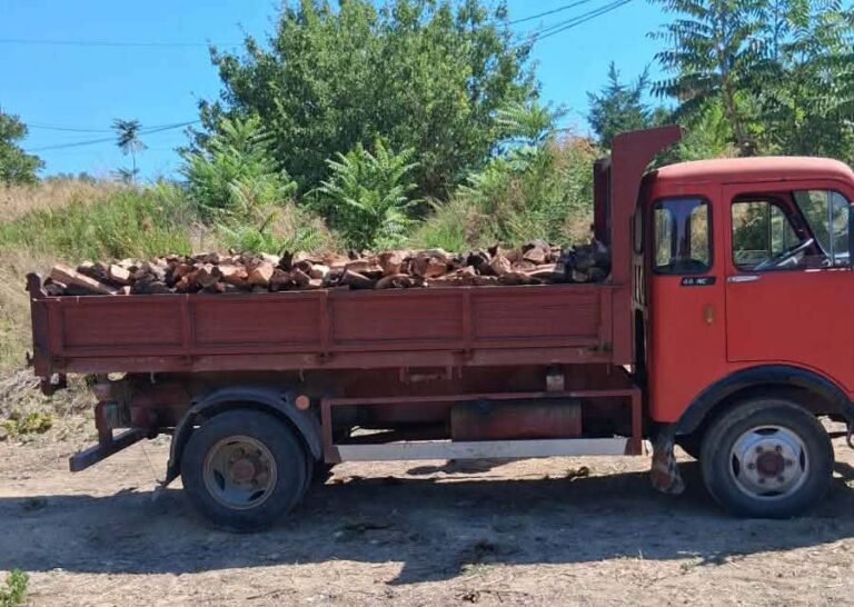 camion