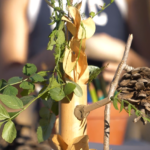laboratorio bambini 3