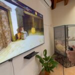 00016inaugurazione antiquarium (1)